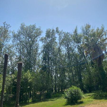 Chalet En Pleine Nature La Roquette-sur-Siagne Buitenkant foto