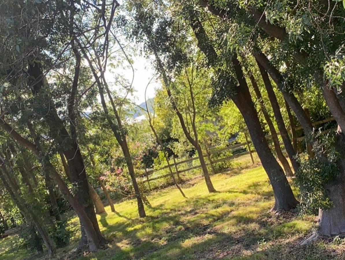 Chalet En Pleine Nature La Roquette-sur-Siagne Buitenkant foto